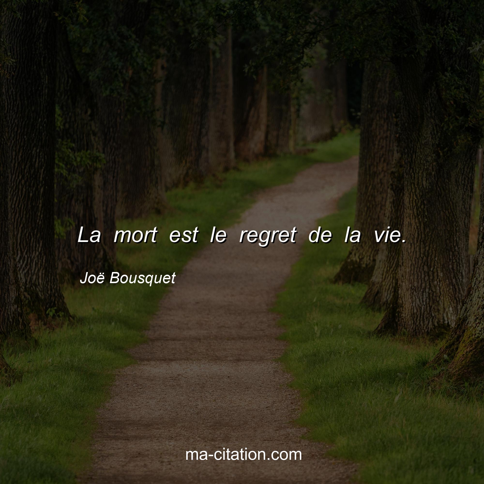 Joë Bousquet : La mort est le regret de la vie.
