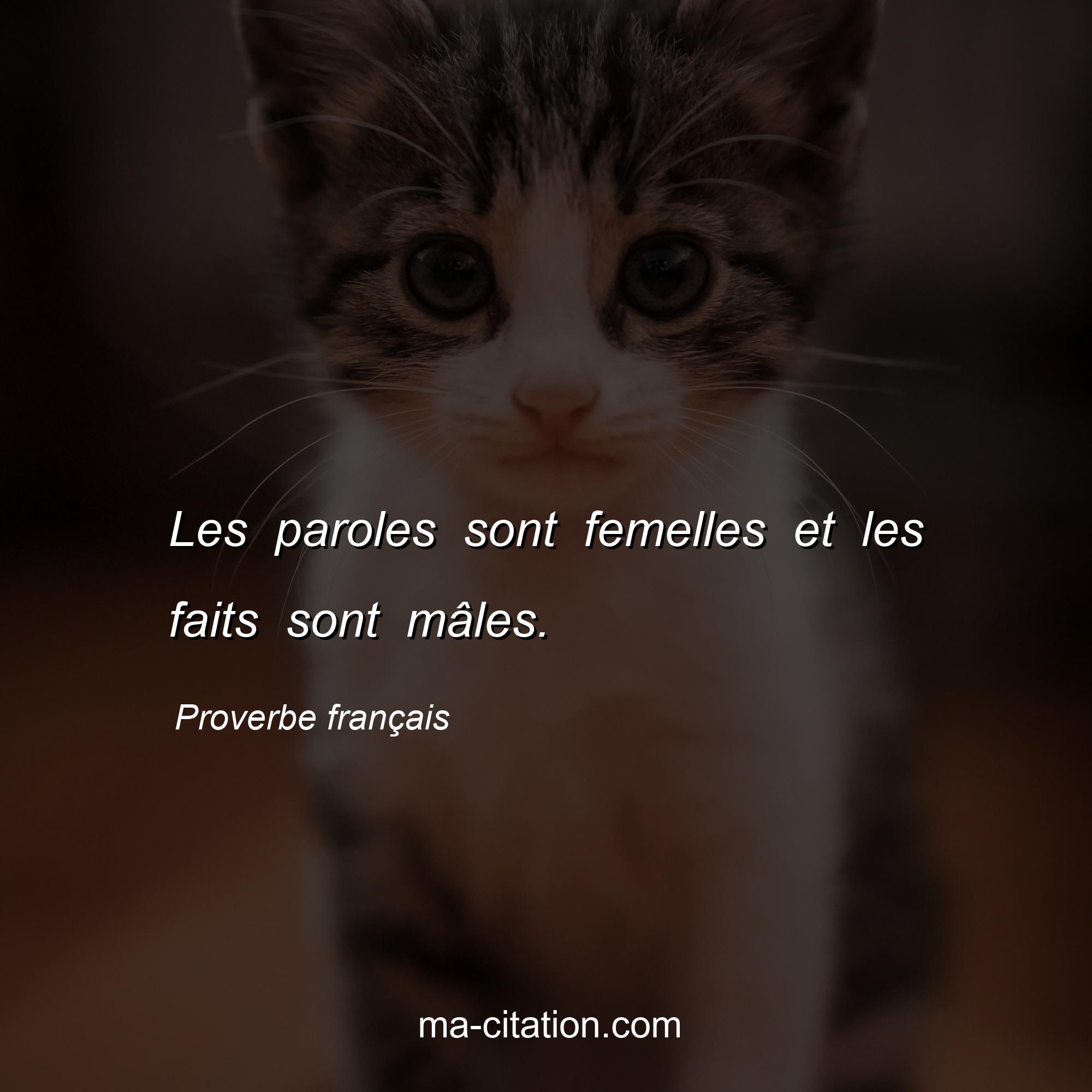 Proverbe français : Les paroles sont femelles et les faits sont mâles.