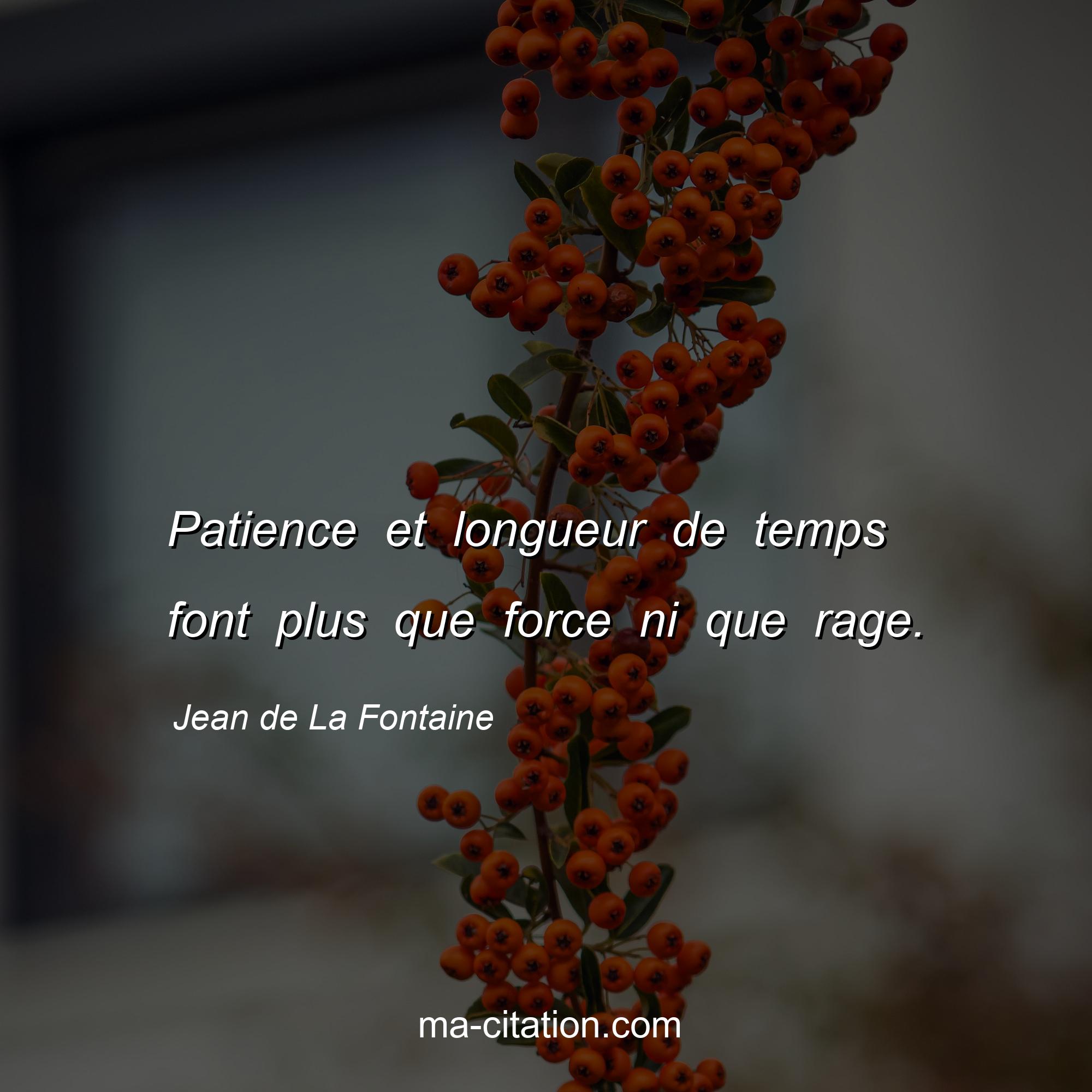 Jean de La Fontaine : Patience et longueur de temps font plus que force ni que rage.