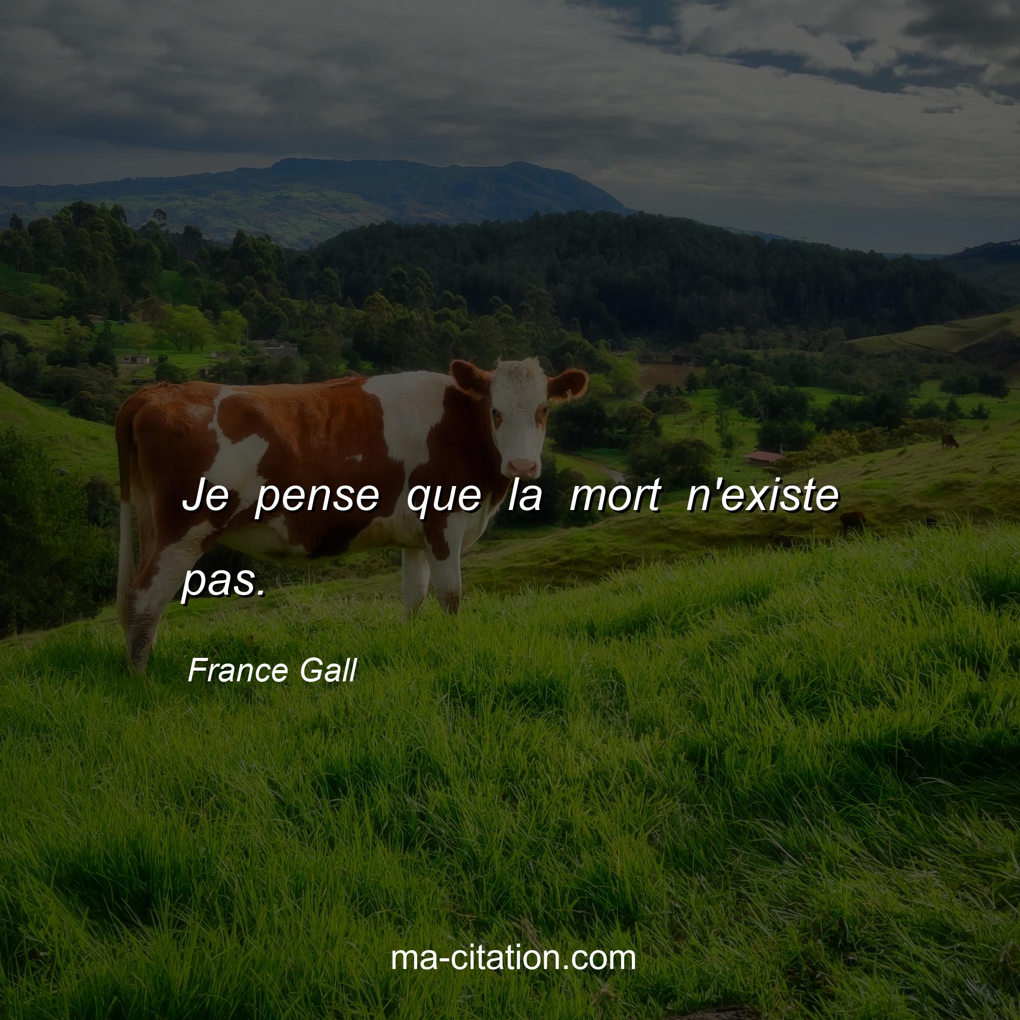 France Gall : Je pense que la mort n'existe pas.