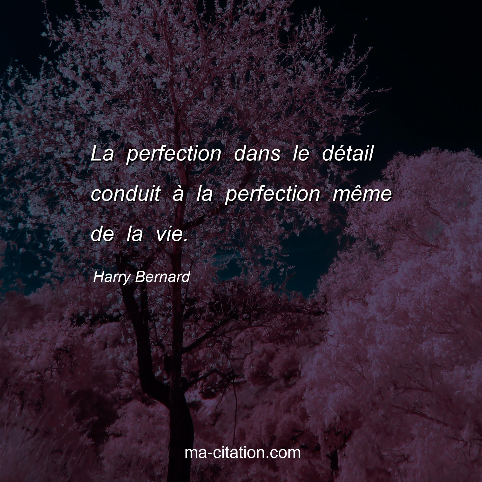 Harry Bernard : La perfection dans le détail conduit à la perfection même de la vie.