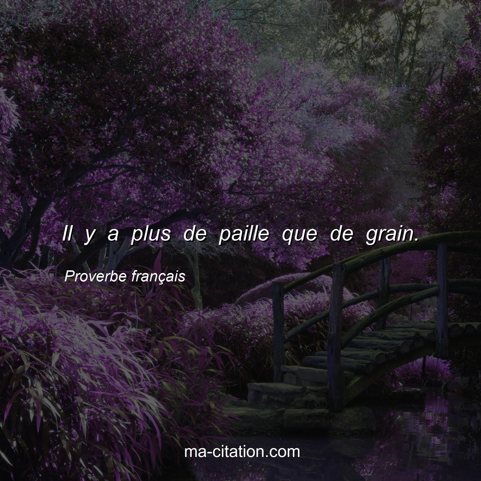 Proverbe français : Il y a plus de paille que de grain.