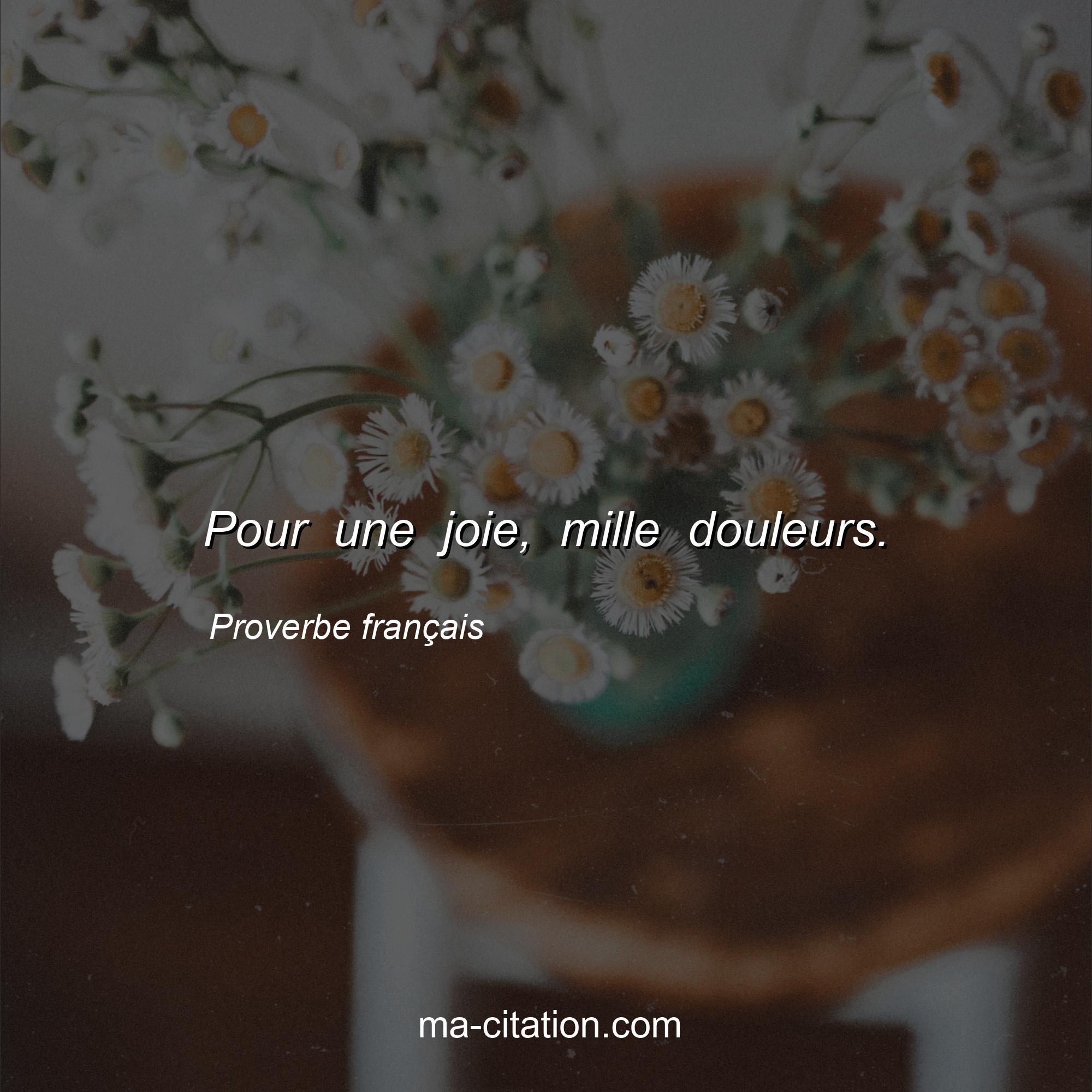 Proverbe français : Pour une joie, mille douleurs.