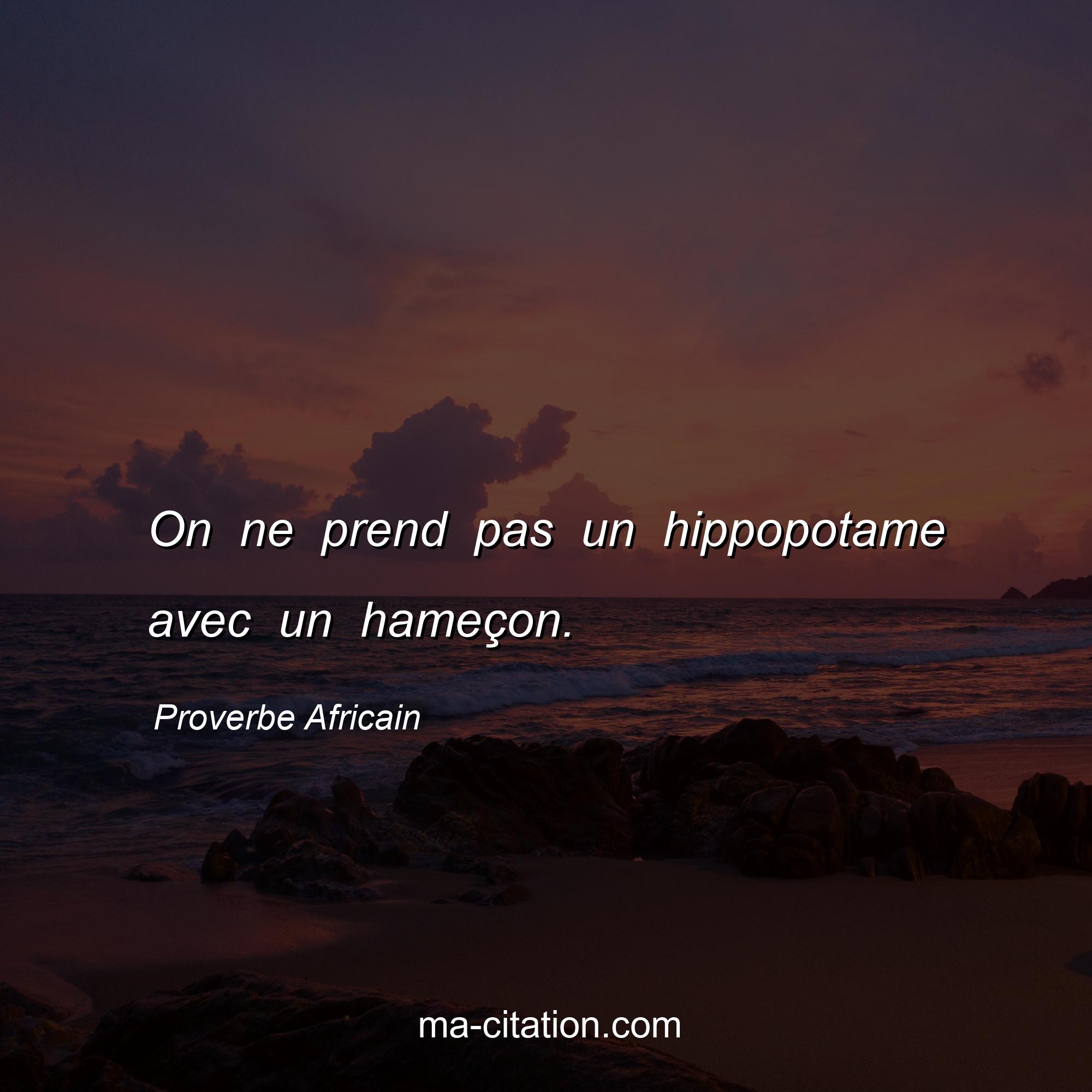 Proverbe Africain : On ne prend pas un hippopotame avec un hameçon.