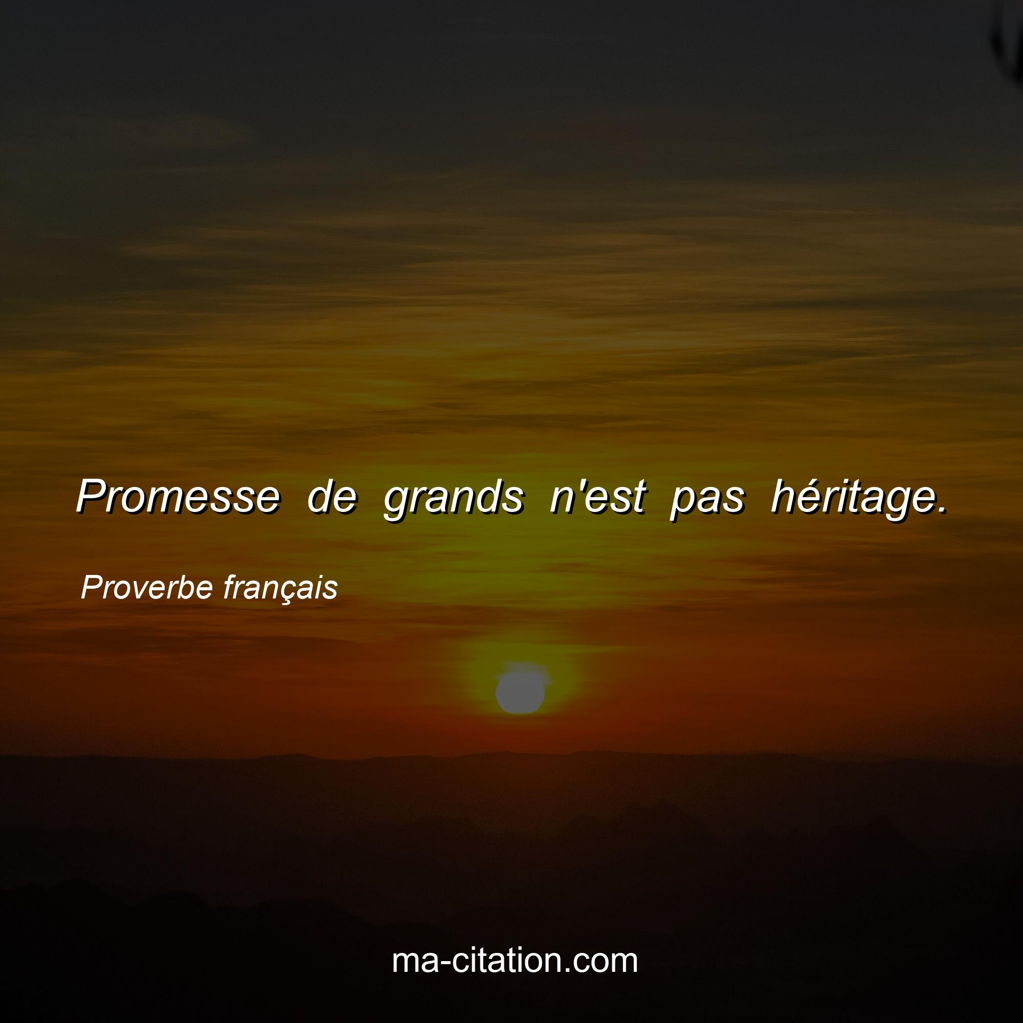 Proverbe français : Promesse de grands n'est pas héritage.