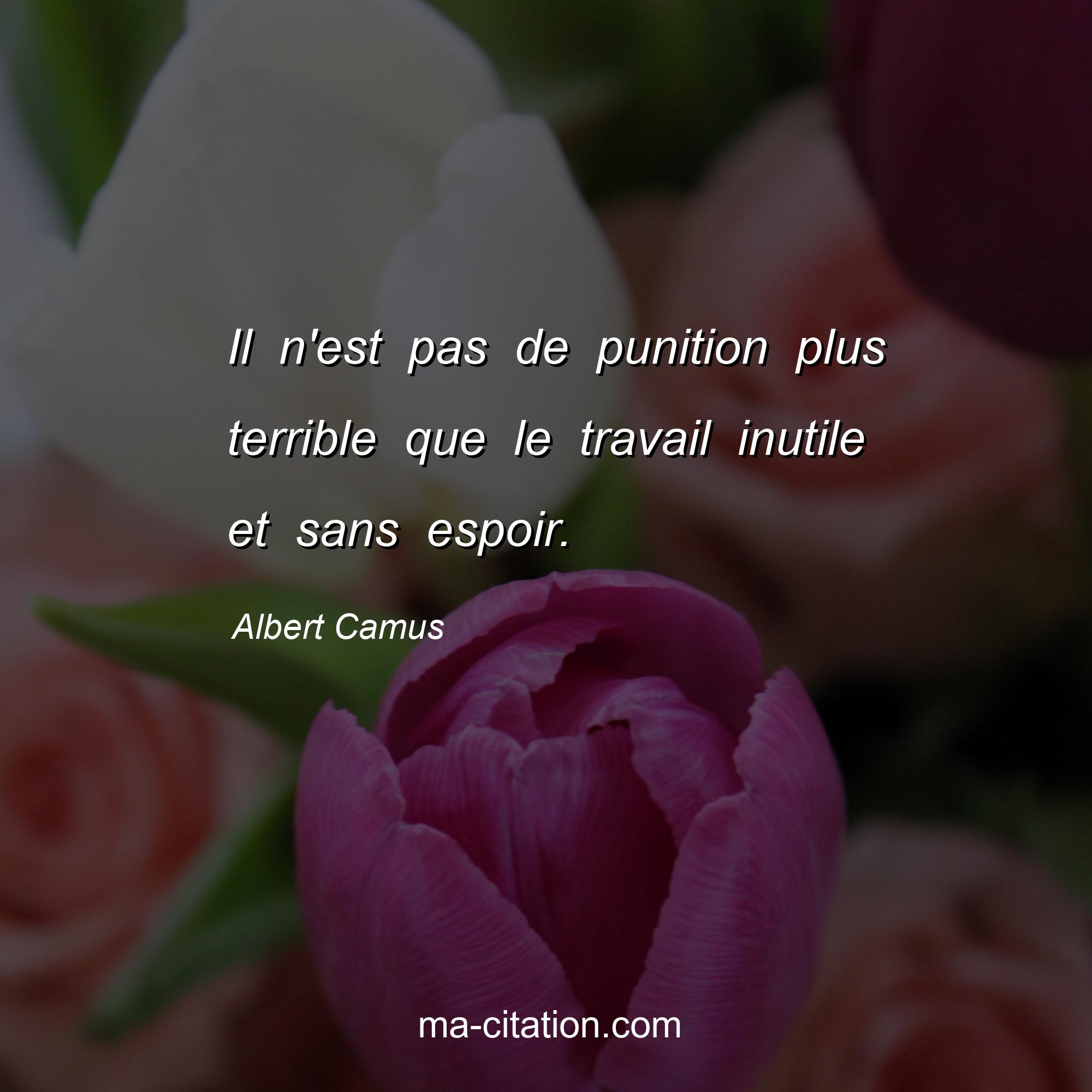 Albert Camus : Il n'est pas de punition plus terrible que le travail inutile et sans espoir.