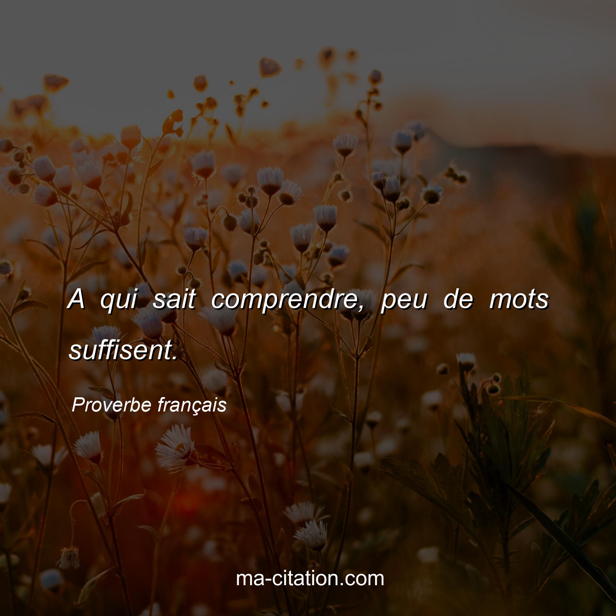 Proverbe français : A qui sait comprendre, peu de mots suffisent.
