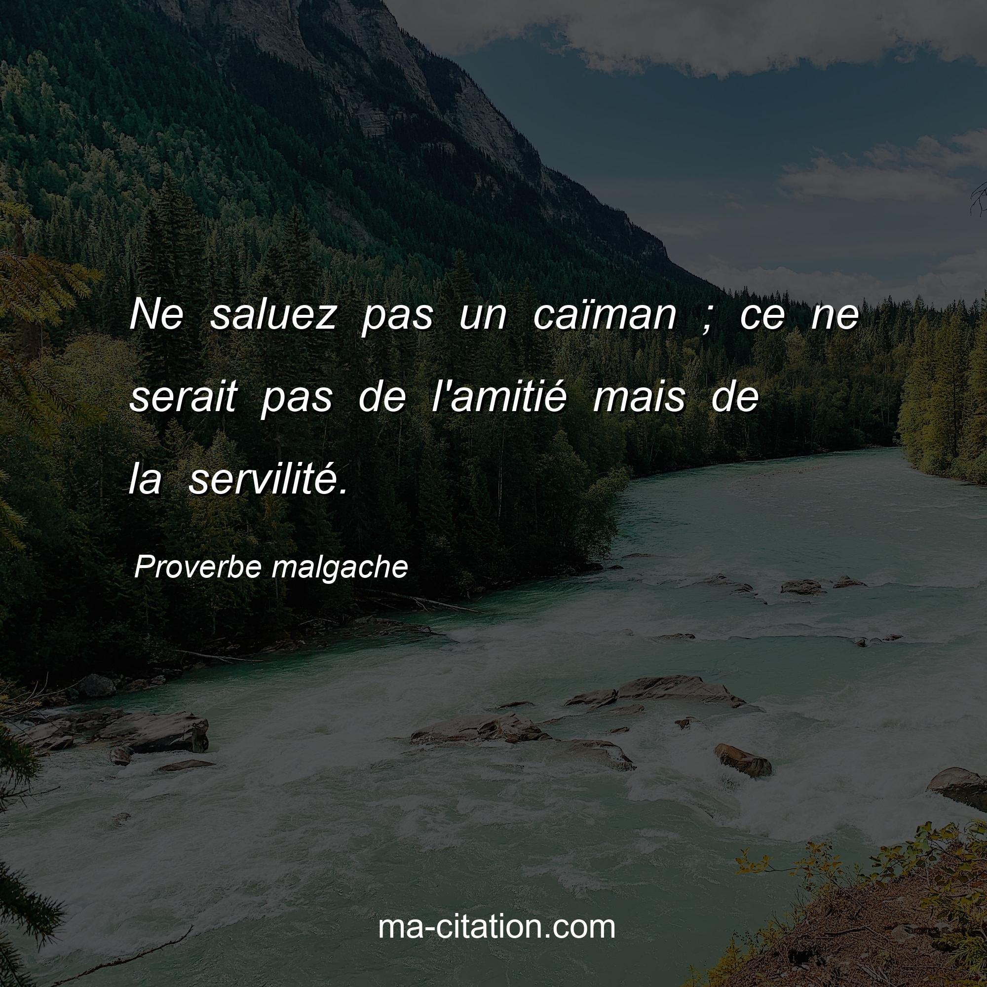 Proverbe malgache : Ne saluez pas un caïman ; ce ne serait pas de l'amitié mais de la servilité.