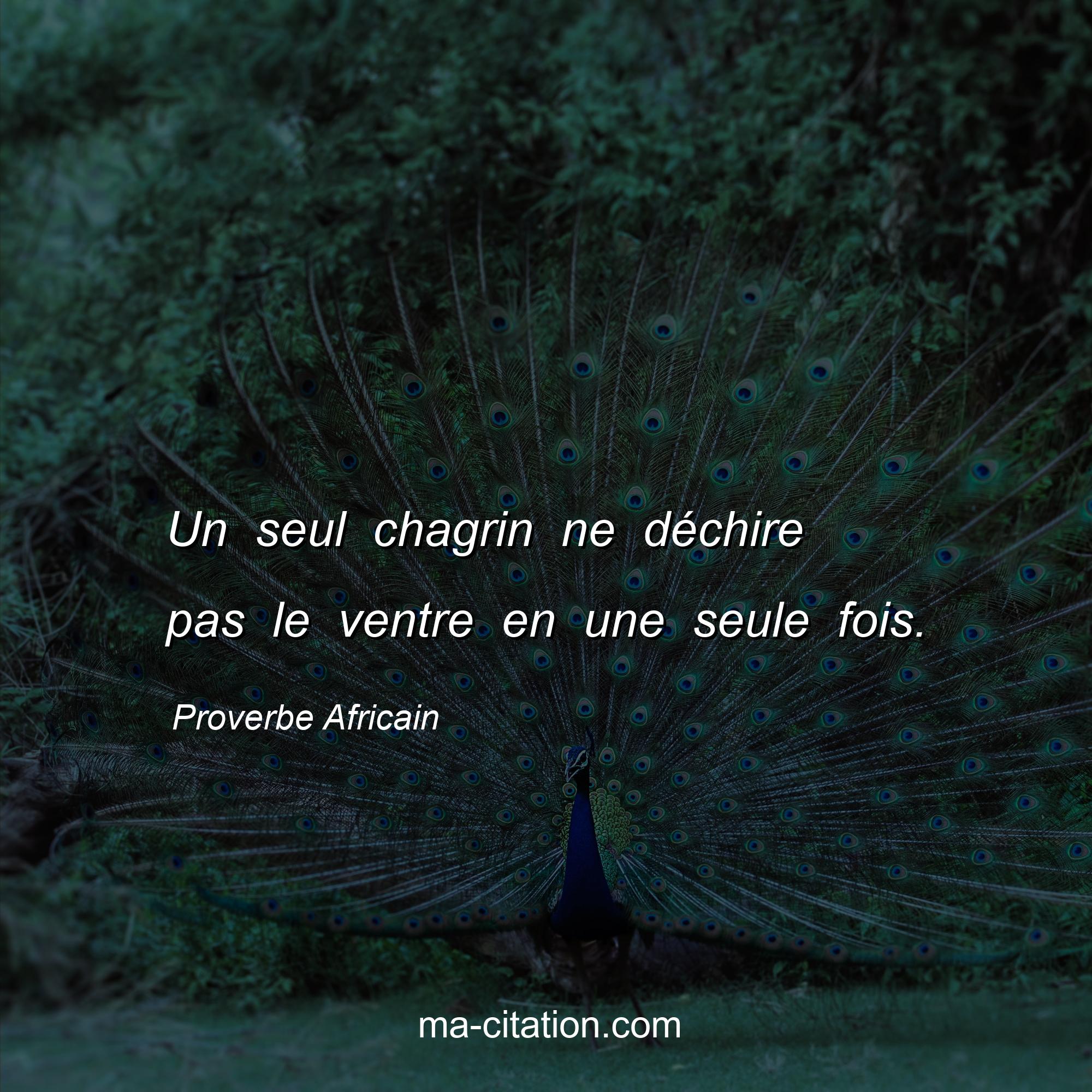 Proverbe Africain : Un seul chagrin ne dÃ©chire pas le ventre en une seule fois.
