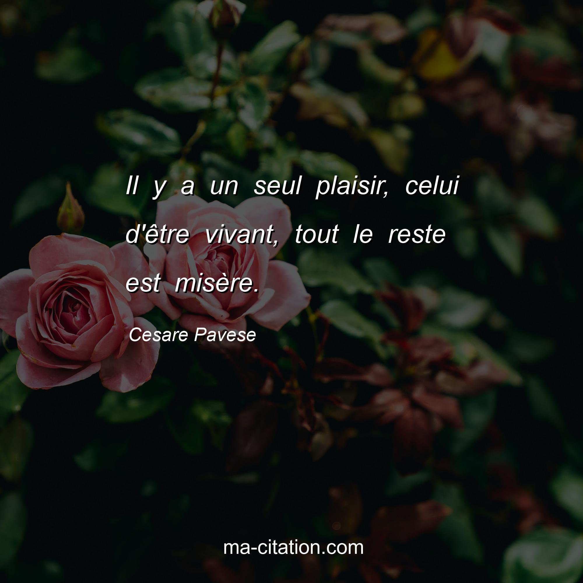 Cesare Pavese : Il y a un seul plaisir, celui d'être vivant, tout le reste est misère.