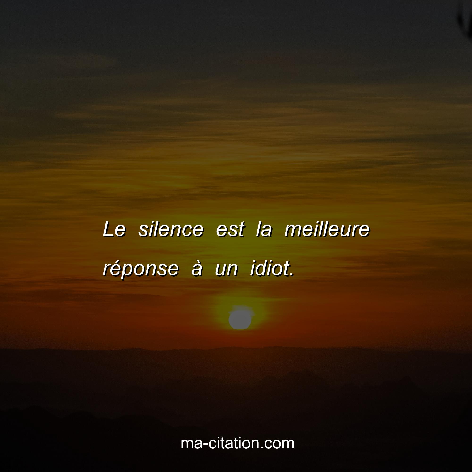 Ma-Citation.com : Le silence est la meilleure réponse à un idiot.