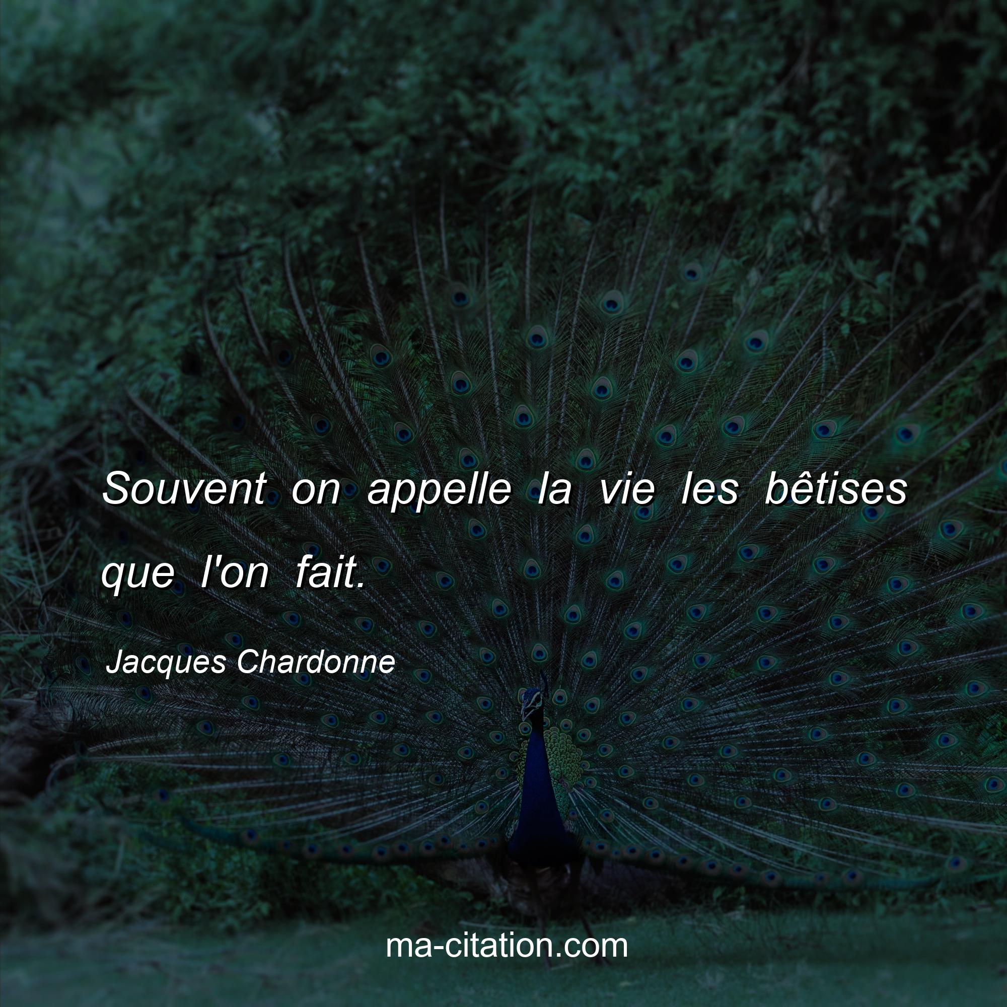 Jacques Chardonne : Souvent on appelle la vie les bêtises que l'on fait.