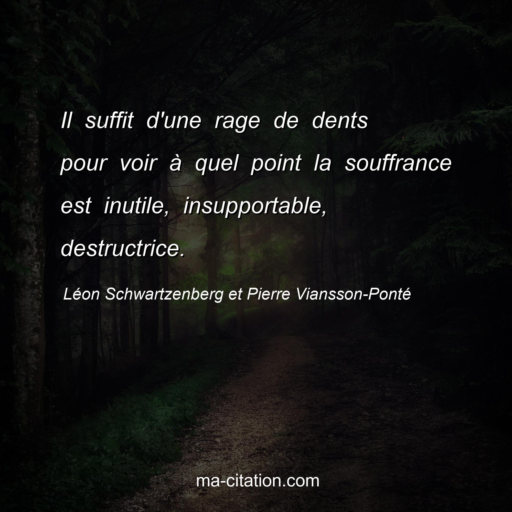 Léon Schwartzenberg et Pierre Viansson-Ponté : Il suffit d'une rage de dents pour voir à quel point la souffrance est inutile, insupportable, destructrice.