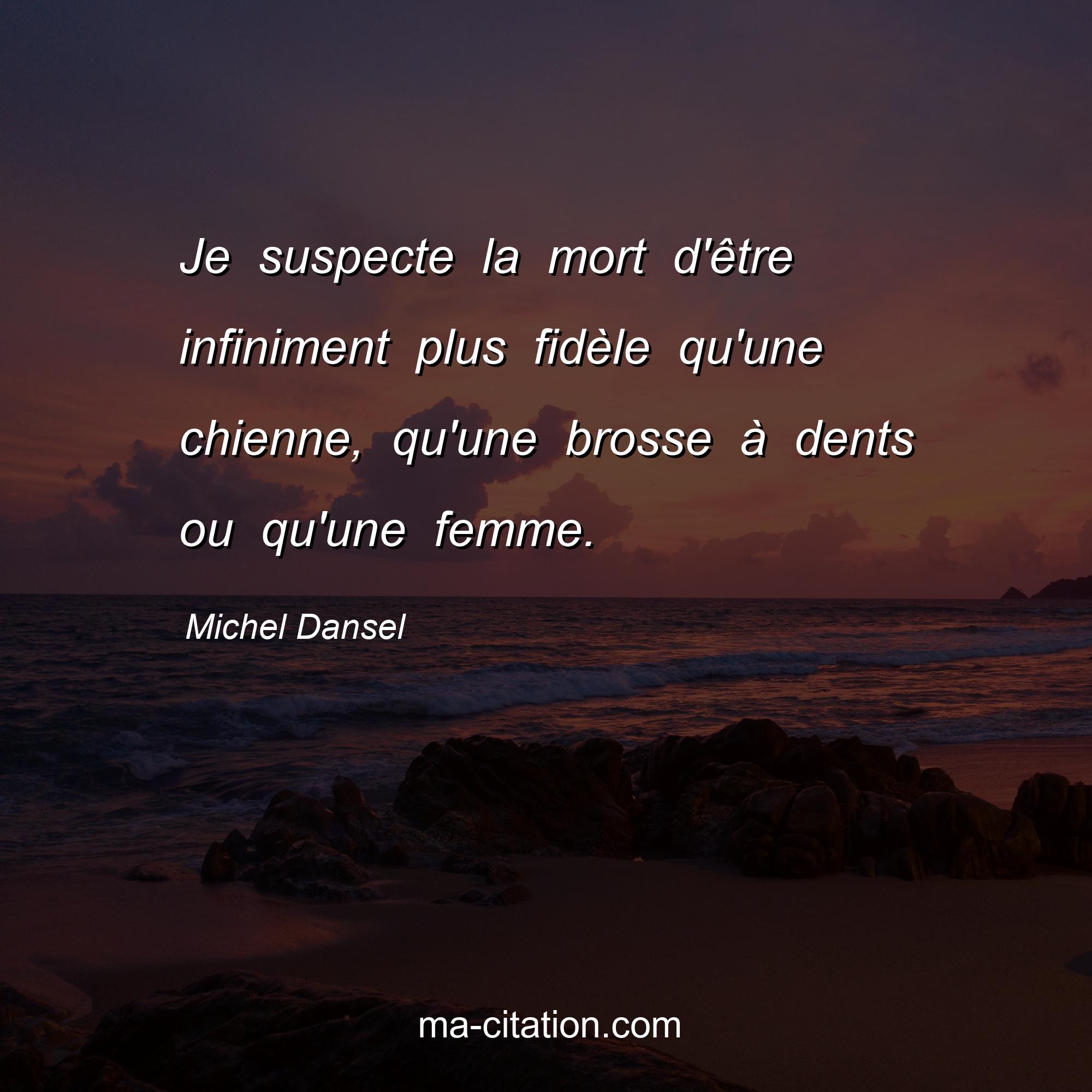 Michel Dansel : Je suspecte la mort d'être infiniment plus fidèle qu'une chienne, qu'une brosse à dents ou qu'une femme.