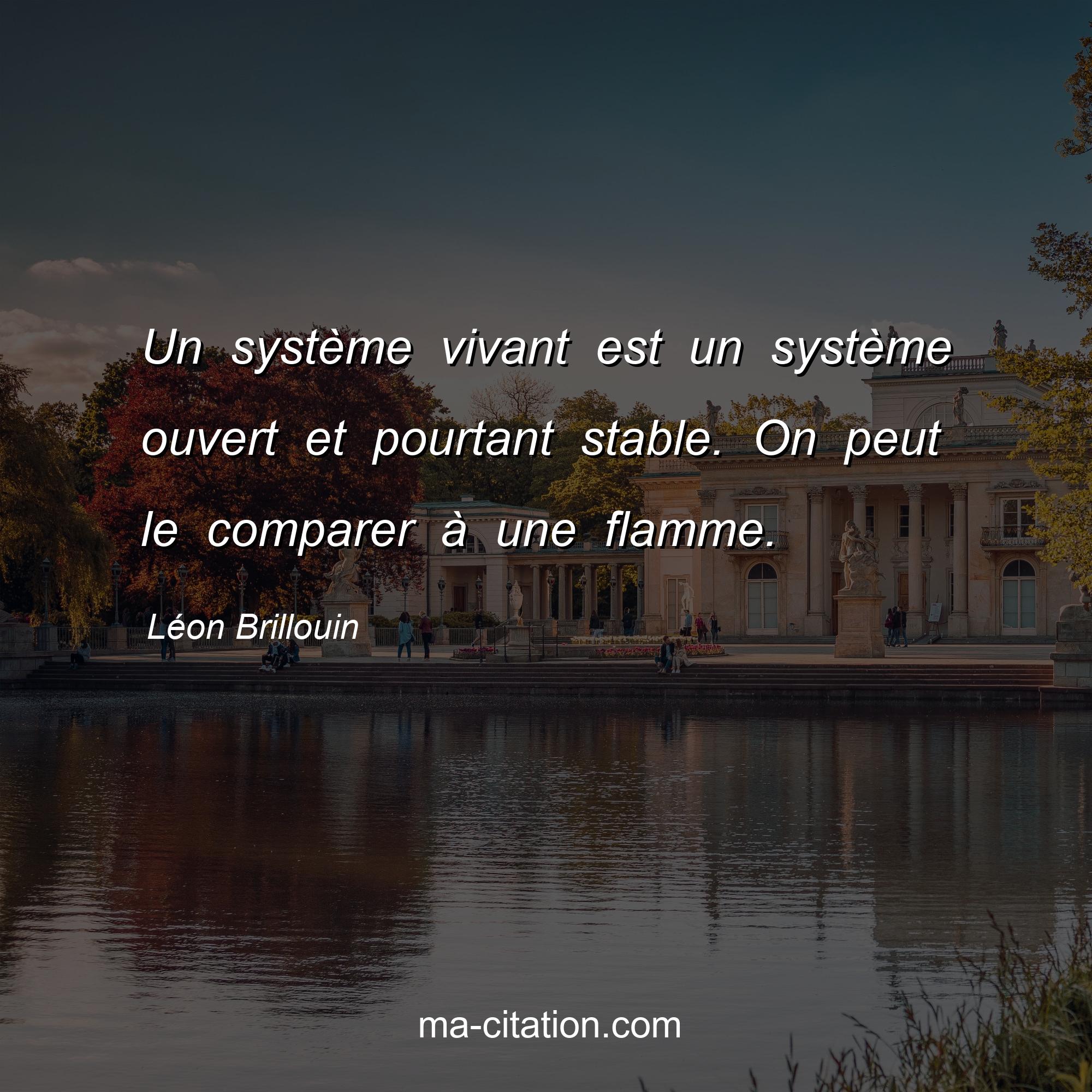 Léon Brillouin : Un système vivant est un système ouvert et pourtant stable. On peut le comparer à une flamme.