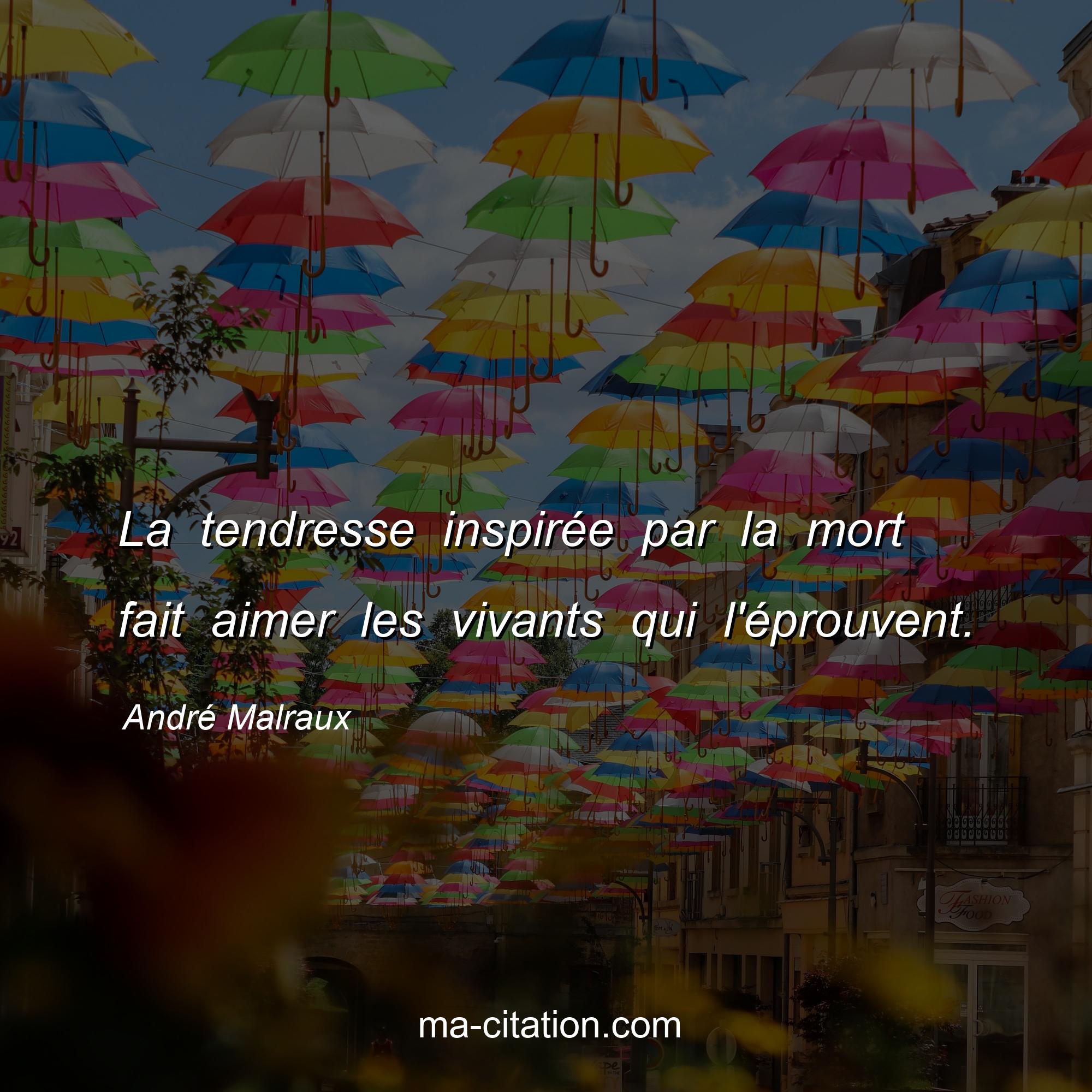 André Malraux : La tendresse inspirée par la mort fait aimer les vivants qui l'éprouvent.