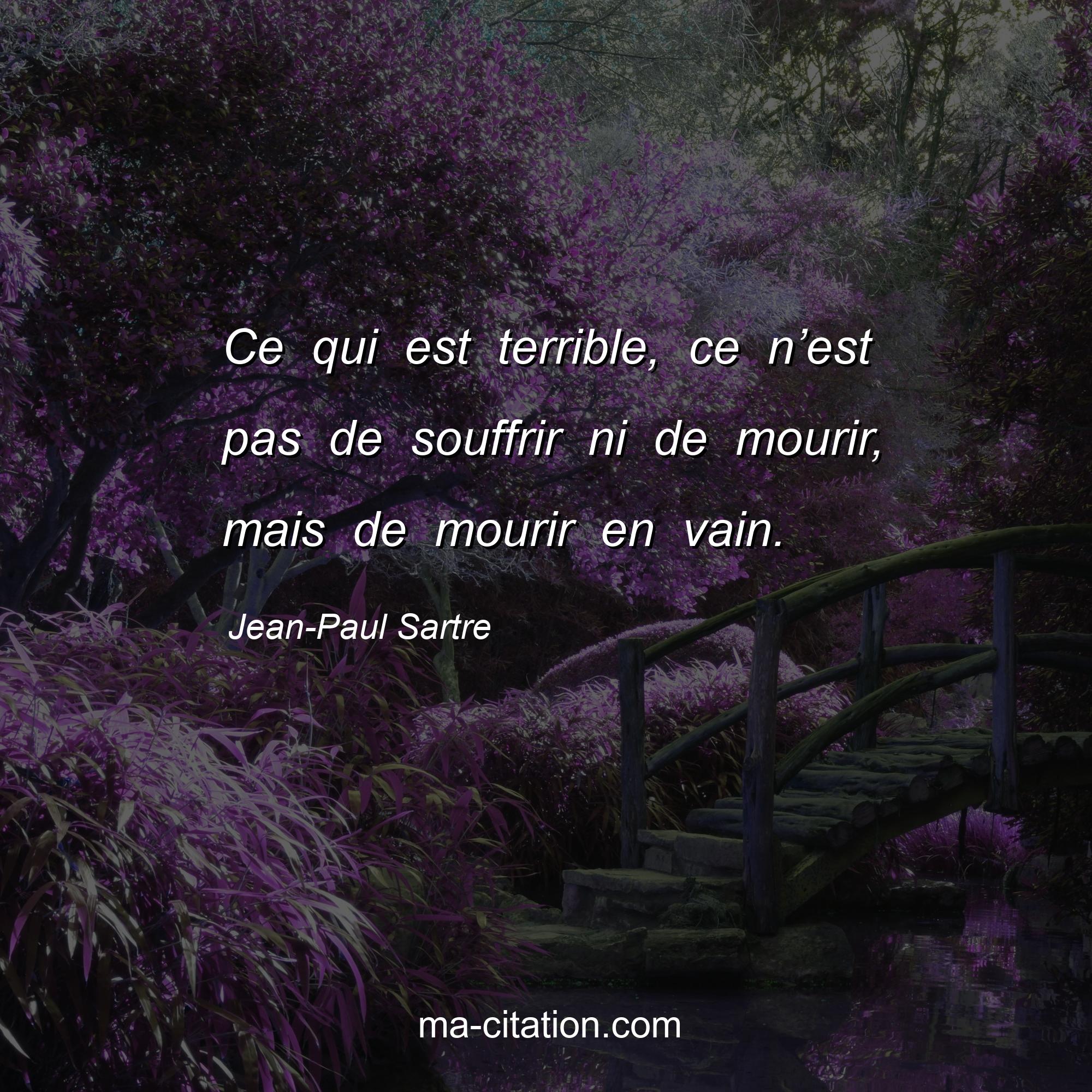Jean-Paul Sartre : Ce qui est terrible, ce n’est pas de souffrir ni de mourir, mais de mourir en vain.