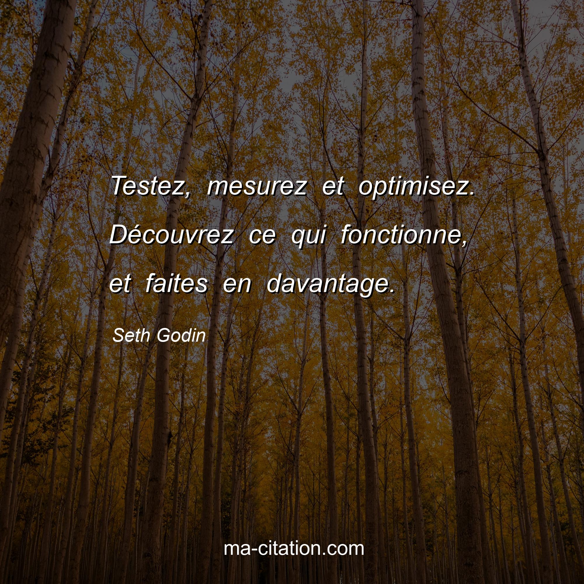 Seth Godin : Testez, mesurez et optimisez. Découvrez ce qui fonctionne, et faites en davantage.
