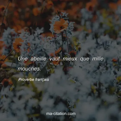 Proverbe franÃ§ais : Une abeille vaut mieux que mille mouches.