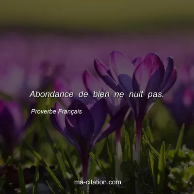 Proverbe FranÃ§ais : Abondance de bien ne nuit pas.