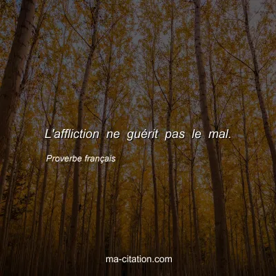 Proverbe franÃ§ais : L'affliction ne guÃ©rit pas le mal.