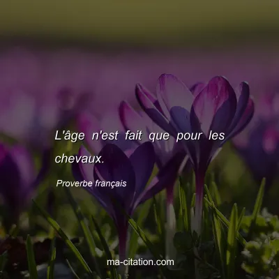 Proverbe franÃ§ais : L'Ã¢ge n'est fait que pour les chevaux.