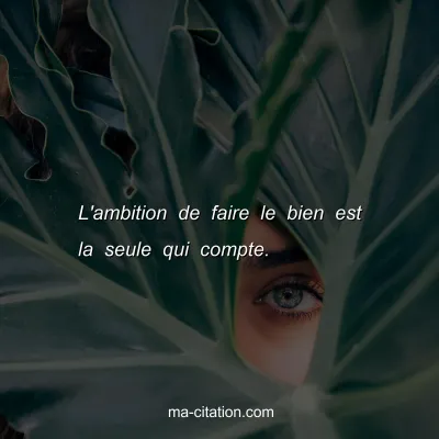 L'ambition de faire le bien est la seule qui compte.