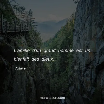Voltaire : L'amitié d'un grand homme est un bienfait des dieux.