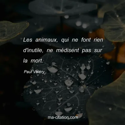 Paul ValÃ©ry : Les animaux, qui ne font rien d'inutile, ne mÃ©disent pas sur la mort.