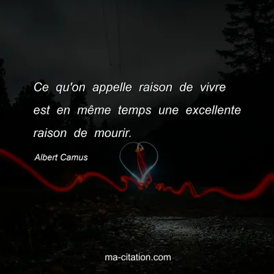 Albert Camus : Ce qu'on appelle raison de vivre est en mÃªme temps une excellente raison de mourir.