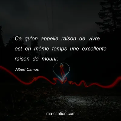 Albert Camus : Ce qu'on appelle raison de vivre est en même temps une excellente raison de mourir.