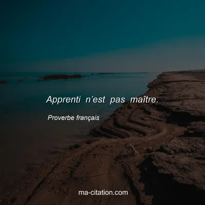 Proverbe franÃ§ais : Apprenti nâ€™est pas maÃ®tre.