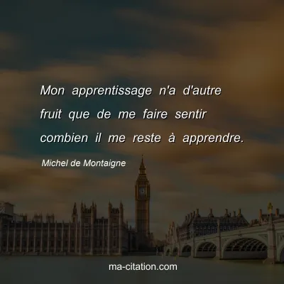 Michel de Montaigne : Mon apprentissage n'a d'autre fruit que de me faire sentir combien il me reste Ã  apprendre.
