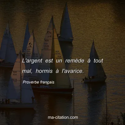 Proverbe franÃ§ais : L'argent est un remÃ¨de Ã  tout mal, hormis Ã  l'avarice.