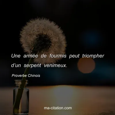 Proverbe Chinois : Une armÃ©e de fourmis peut triompher dâ€™un serpent venimeux.