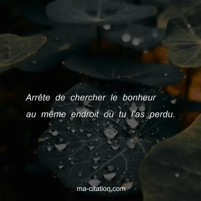 ArrÃªte de chercher le bonheur au mÃªme endroit oÃ¹ tu l'as perdu.