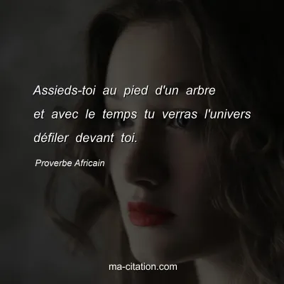 Proverbe Africain : Assieds-toi au pied d'un arbre et avec le temps tu verras l'univers dÃ©filer devant toi.