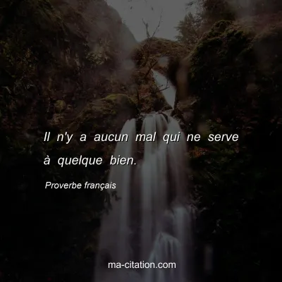 Proverbe franÃ§ais : Il n'y a aucun mal qui ne serve Ã  quelque bien.