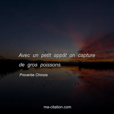 Proverbe Chinois : Avec un petit appÃ¢t on capture de gros poissons.