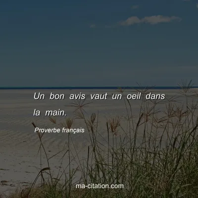 Proverbe franÃ§ais : Un bon avis vaut un oeil dans la main.