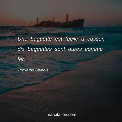 Proverbe Chinois : Une baguette est facile Ã  casser, dix baguettes sont dures comme fer.