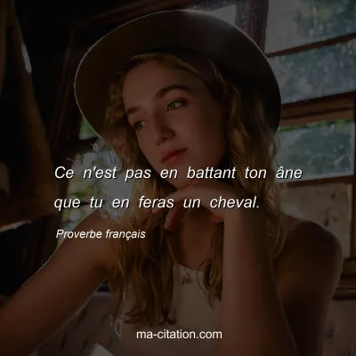Proverbe franÃ§ais : Ce n'est pas en battant ton Ã¢ne que tu en feras un cheval.