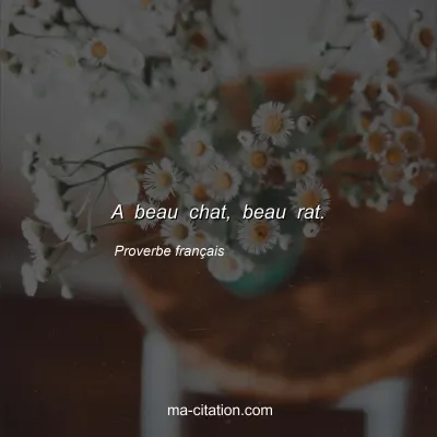 Proverbe franÃ§ais : A beau chat, beau rat.
