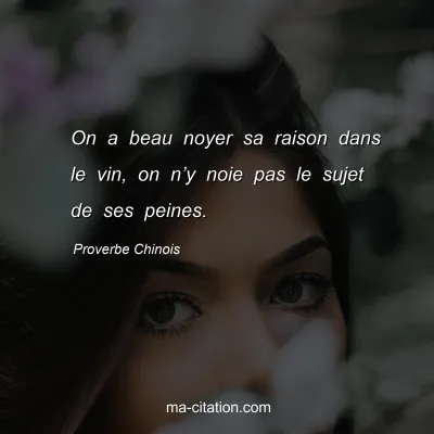 Proverbe Chinois : On a beau noyer sa raison dans le vin, on nâ€™y noie pas le sujet de ses peines.