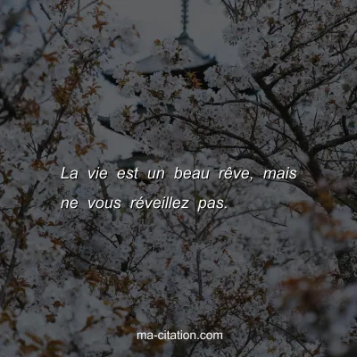 La vie est un beau rÃªve, mais ne vous rÃ©veillez pas.