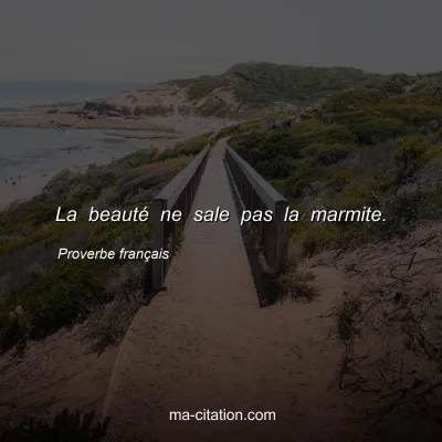 Proverbe franÃ§ais : La beautÃ© ne sale pas la marmite.