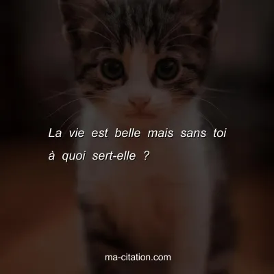 La vie est belle mais sans toi Ã  quoi sert-elle ?