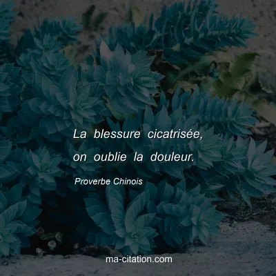 Proverbe Chinois : La blessure cicatrisÃ©e, on oublie la douleur.