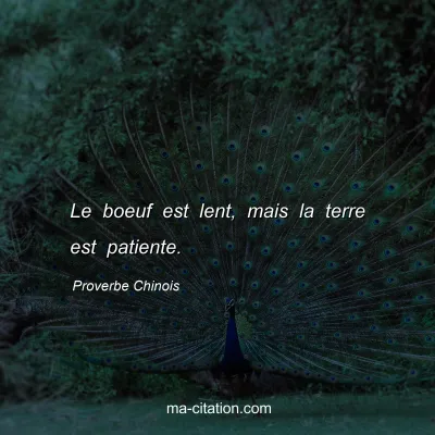 Proverbe Chinois : Le boeuf est lent, mais la terre est patiente.