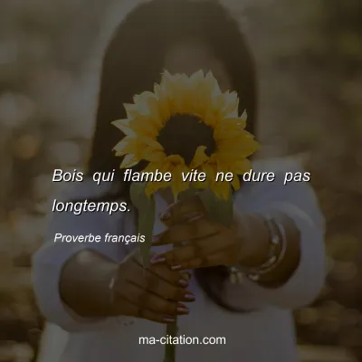 Proverbe franÃ§ais : Bois qui flambe vite ne dure pas longtemps.